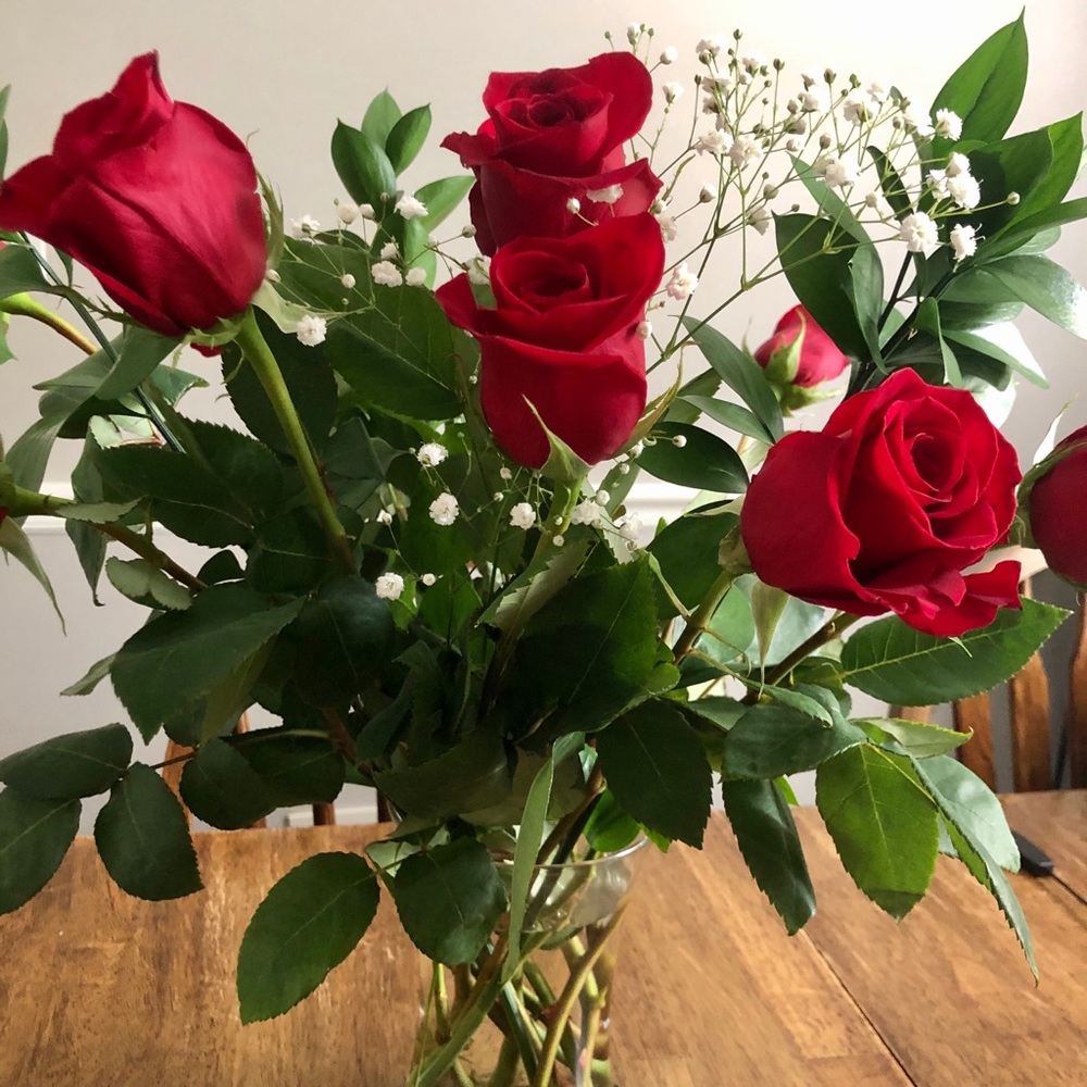 Meet your Posher, Erika